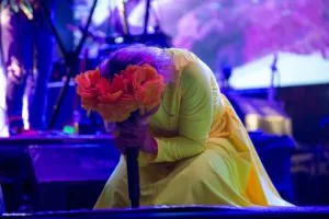 Mayo Fest 2018, Centenario de Puerto Vallarta, fotografía de Miguel Naranjo
