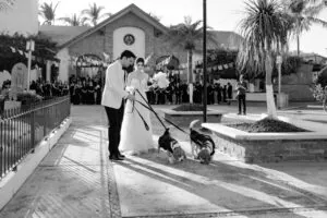 Boda de Adri y Javi