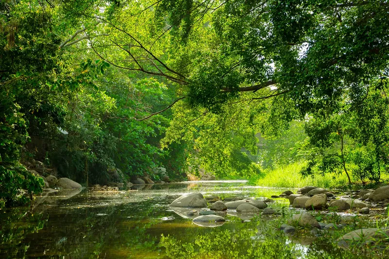 Río Cuale, Puerto Vallarta, Jalisco. Fotografía de paisaje de Miguel Naranjo.