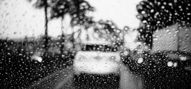 Lluvia Lluvia